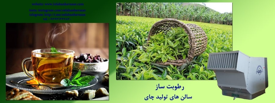 نقش دستگاه رطوبت ساز در تولید چای
